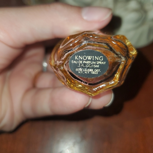 Knowing Estee Lauder - Picture 2 of 2